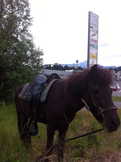 errands on horseback