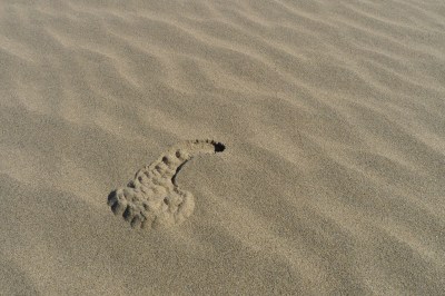 A little mystery in the Death Valley sand dunes.
